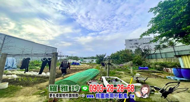 桃園大園工業地-4