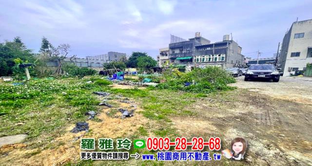 桃園大園工業地-5
