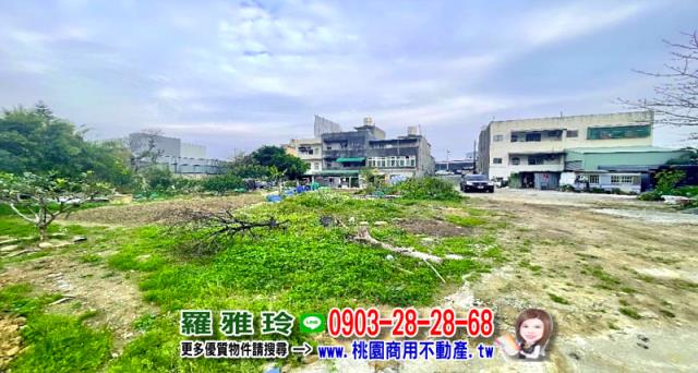 桃園大園工業地-6