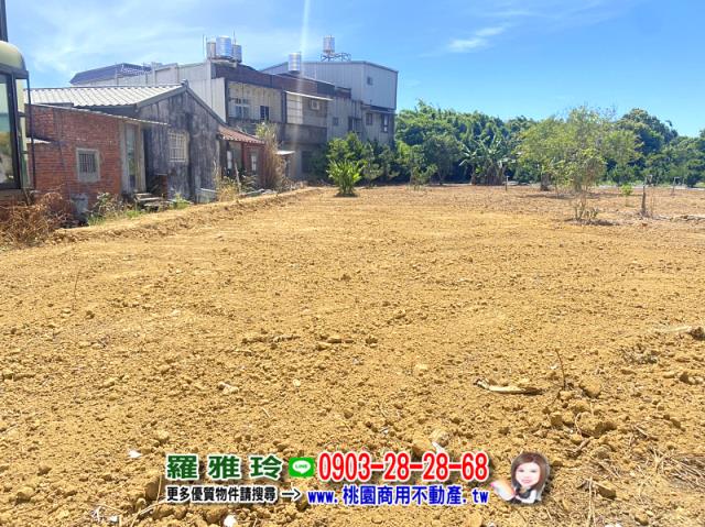 桃園平鎮農地-2