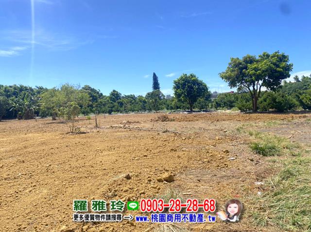 桃園平鎮農地-3