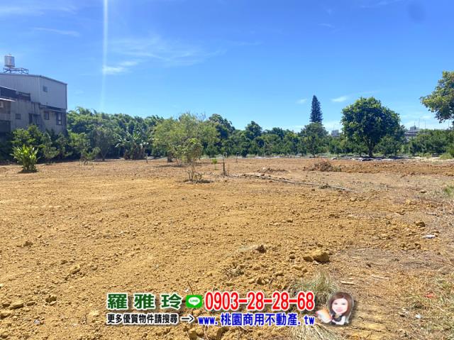 桃園平鎮農地-4
