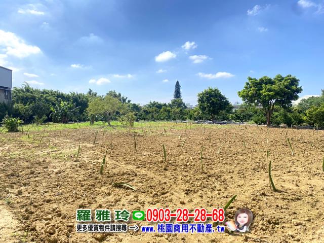 桃園平鎮農地-5