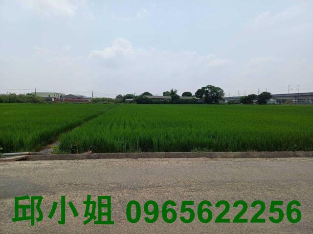 鹿草農地-1