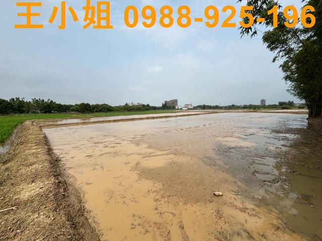 平鎮農地-5