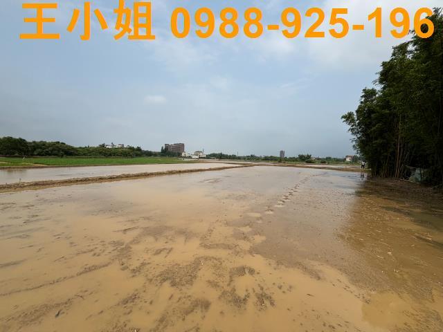 平鎮農地-6