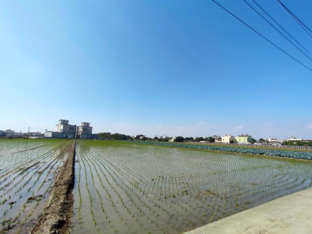 彰化竹塘農地-2