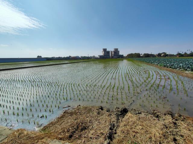 彰化竹塘農地-3
