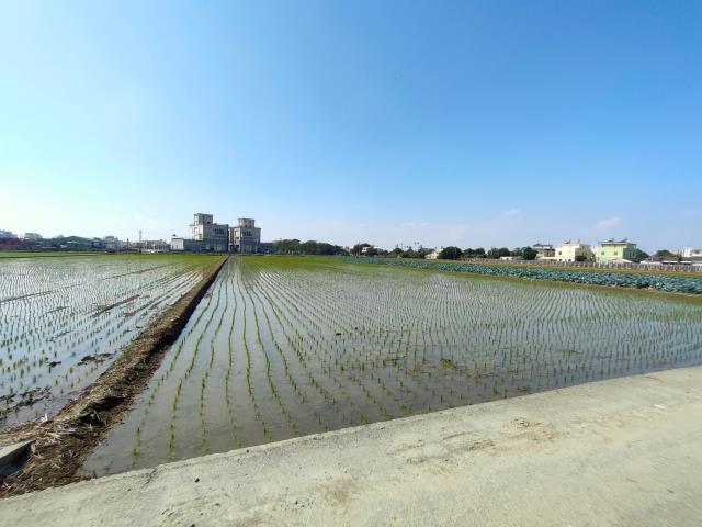 彰化竹塘農地-4
