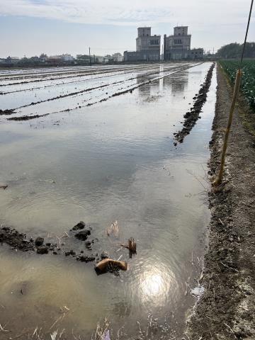 彰化竹塘農地-6