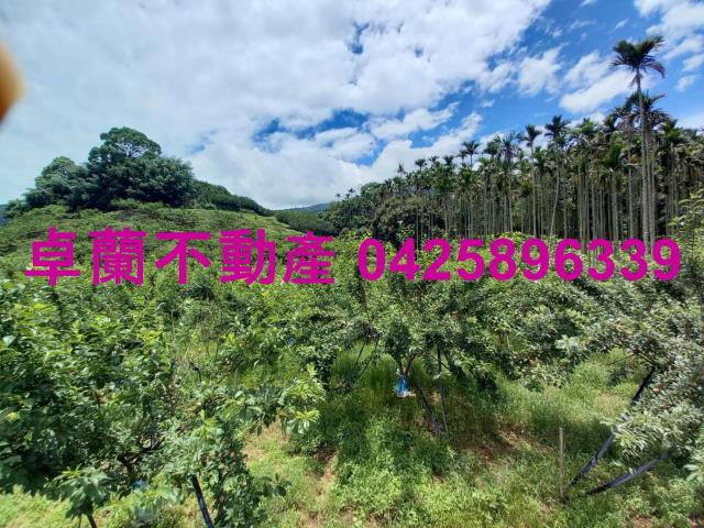 苗栗農地-9