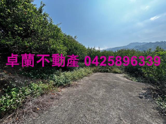 苗栗農地-2