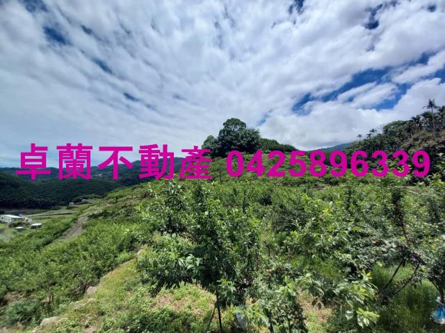 苗栗農地-10
