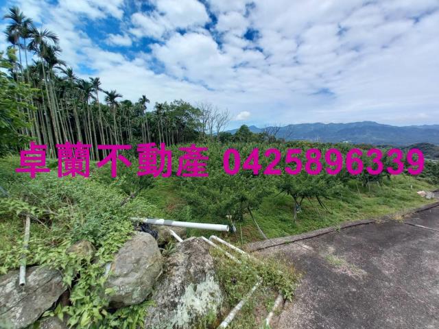 苗栗農地-12