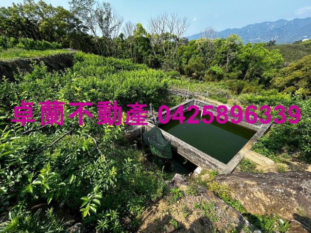 苗栗農地-5