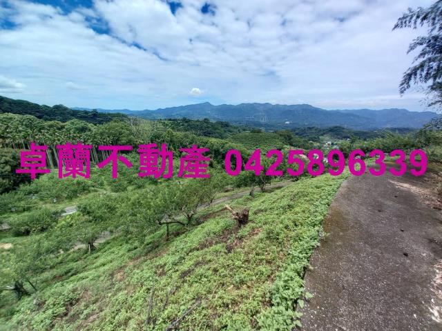 苗栗農地-14