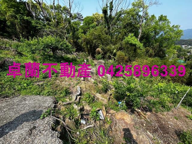 苗栗農地-7