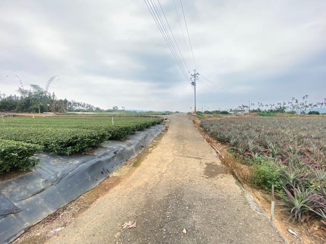 南投名間農地-1