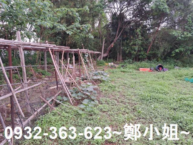 蘆竹農地-1