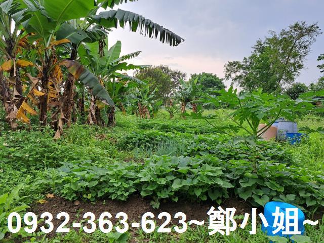 蘆竹農地-2