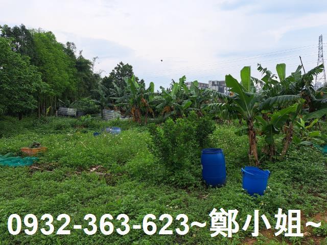 蘆竹農地-3