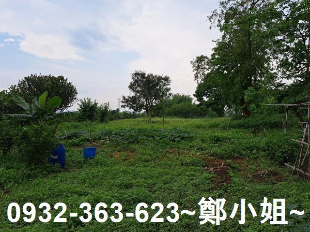 蘆竹農地-4