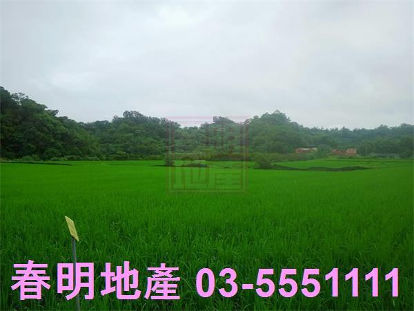 新竹峨眉農地-10