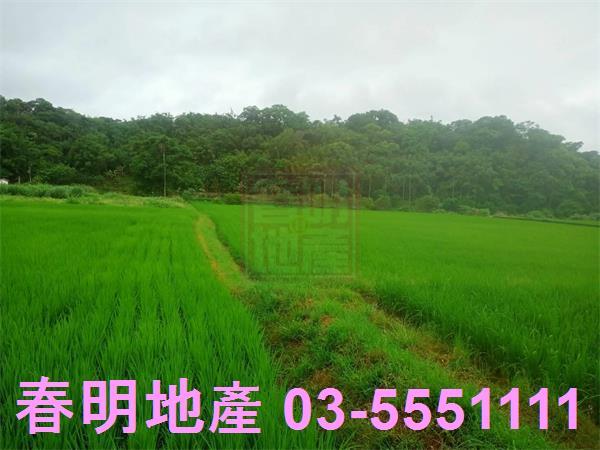 新竹峨眉農地-11