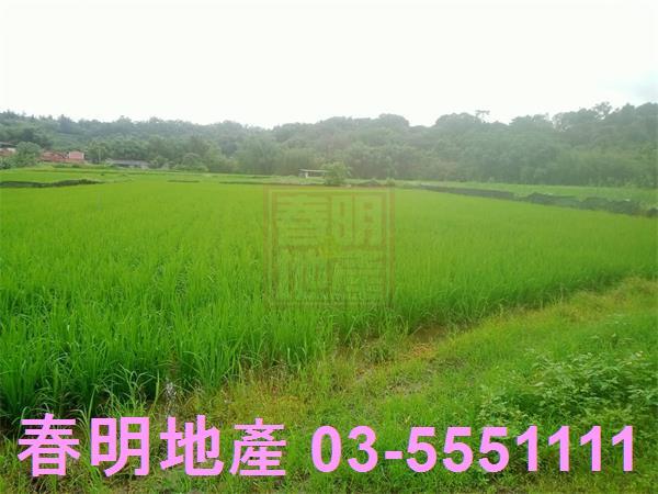 新竹峨眉農地-12