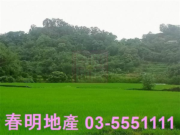 新竹峨眉農地-1