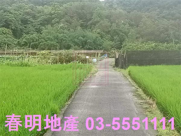 新竹峨眉農地-2