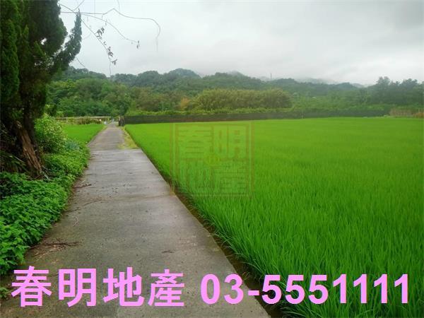 新竹峨眉農地-6