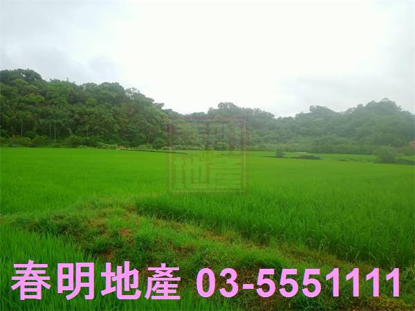 新竹峨眉農地-7