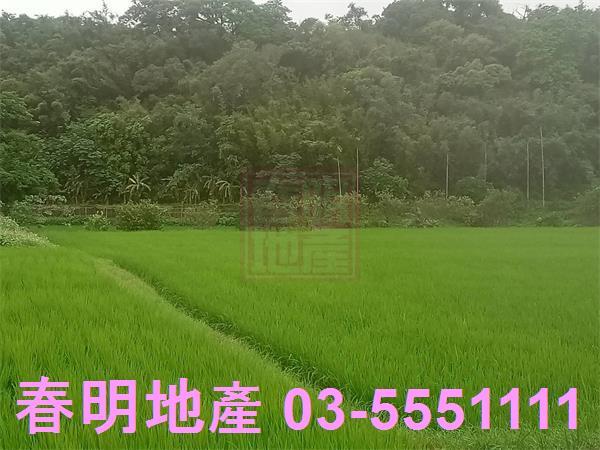 新竹峨眉農地-8