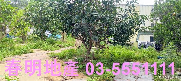 新竹新埔農地-1
