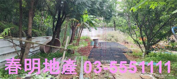 新竹新埔農地-2