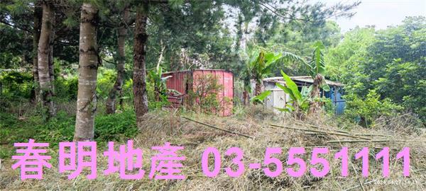新竹新埔農地-4