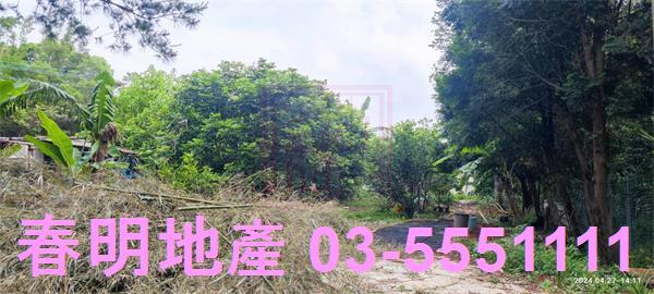 新竹新埔農地-5