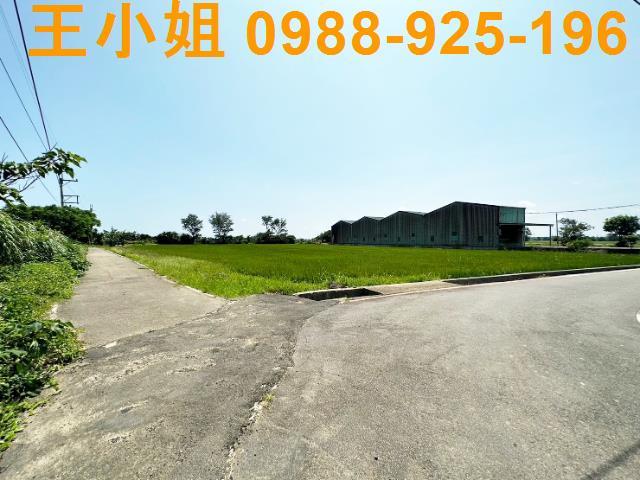 觀音農地-1