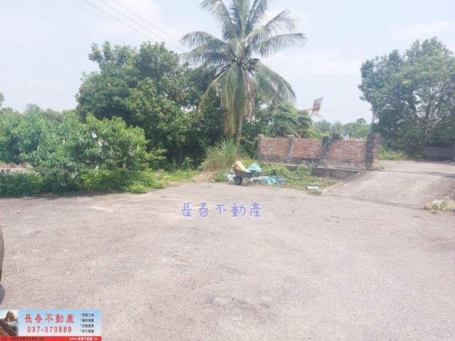 苗栗西湖農地-2