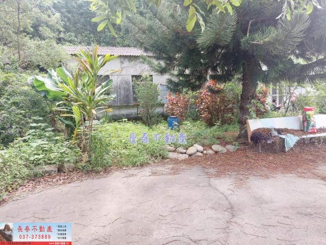 苗栗西湖農地-5