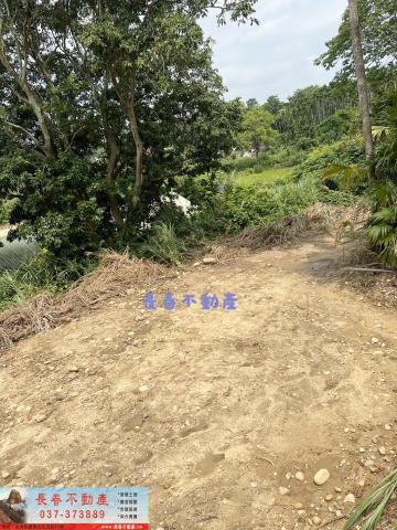 苗栗西湖農地-6