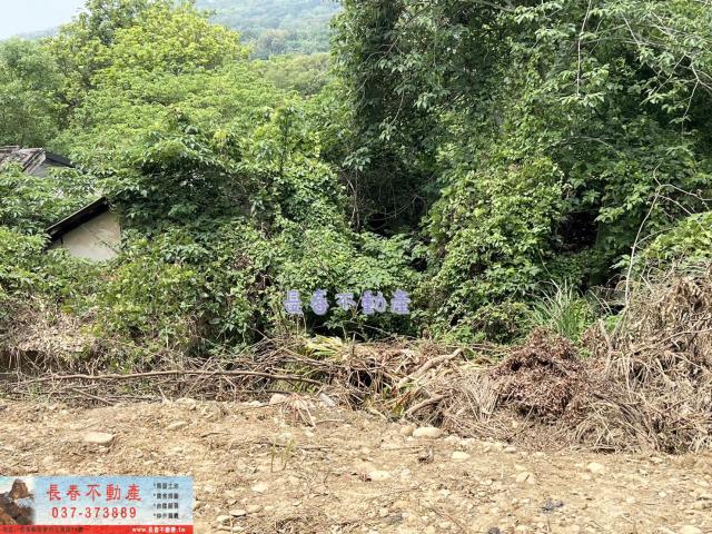 苗栗西湖農地-7