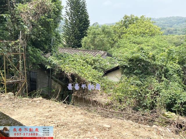 苗栗西湖農地-8