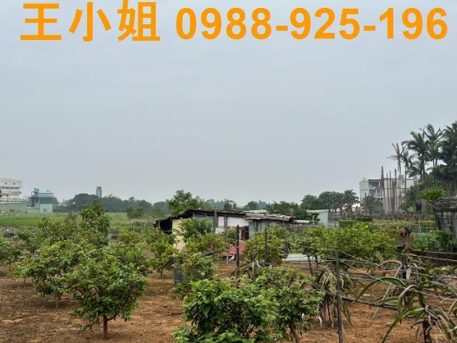 八德農地-1