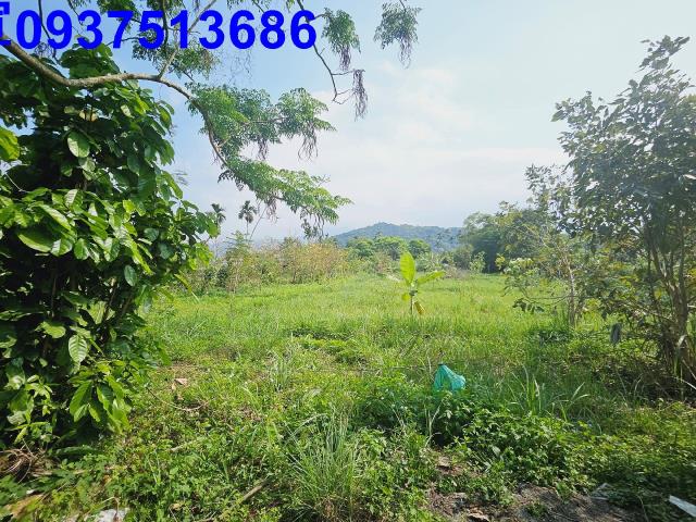 冬山農地-7