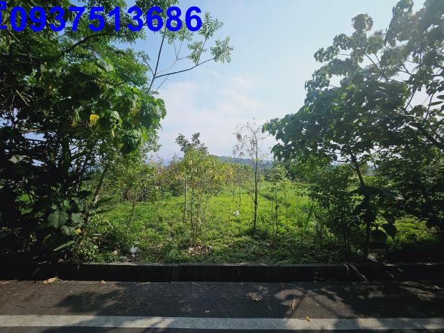 冬山農地-8