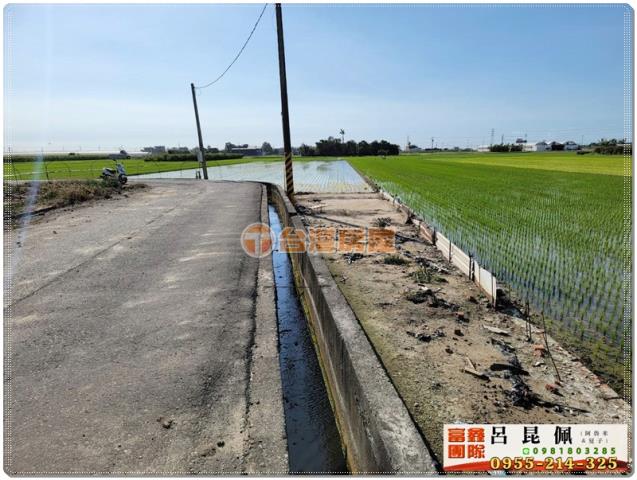 民雄農地-4