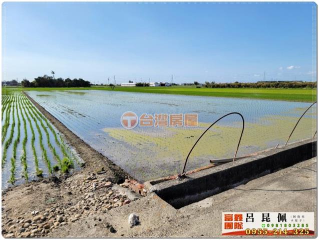 民雄農地-6