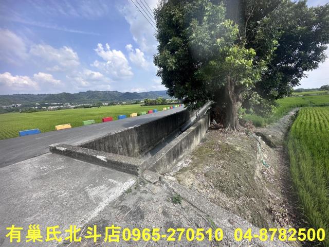 田中農地-2